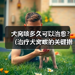 犬窝咳多久可以治愈？（治疗犬窝咳的关键措施与预防方法）(图2)