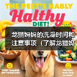 龙猫妈妈的洗澡时间和注意事项(了解龙猫妈妈洗澡的频率和正确的方法)(图4) 龙猫妈妈的洗澡时间和注意事项(了解龙猫妈妈洗澡的频率和正确的方法)(图4)