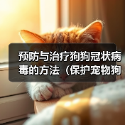 预防与治疗狗狗冠状病毒的方法（保护宠物狗免受冠状病毒感染的有效措施）(图4)