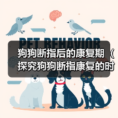 狗狗断指后的康复期(探究狗狗断指康复的时间及相关注意事项)(图2) 狗狗断指后的康复期(探究狗狗断指康复的时间及相关注意事项)(图2)