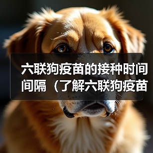 六联狗疫苗的接种时间间隔（了解六联狗疫苗接种的最佳时间间隔）(图3)