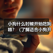 小狗什么时候开始吃狗粮？（了解适合小狗开始吃狗粮的时间和方法） - 新生家伴