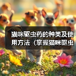 猫咪驱虫药的种类及使用方法（掌握猫咪驱虫药的选择和使用，让爱宠远离寄生虫侵害）(图2)