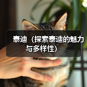 泰迪（探索泰迪的魅力与多样性）(图2)