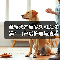 金毛犬产后多久可以洗澡？（产后护理与清洁的关键）(图4)