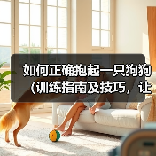如何正确抱起一只狗狗（训练指南及技巧，让你和狗狗更安全快乐地互动） - 新生家伴