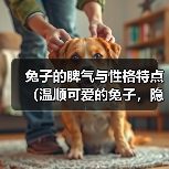 兔子的脾气与性格特点（温顺可爱的兔子，隐藏的脾气让人惊讶）(图3)