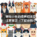 宠物小鱼的喂养频率及注意事项（了解宠物小鱼的饮食习惯，做好喂养的准备）(图3)