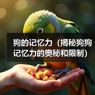 狗的记忆力（揭秘狗狗记忆力的奥秘和限制）(图4)