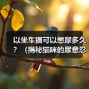 以坐车猫可以憋尿多久？（揭秘猫咪的尿意忍耐能力） - 新生家伴