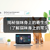 揭秘猫咪身上的寄生虫(了解猫咪身上的常见寄生虫及防治方法)(图2) 揭秘猫咪身上的寄生虫(了解猫咪身上的常见寄生虫及防治方法)(图2)