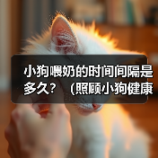 小狗喂奶的时间间隔是多久?(照顾小狗健康成长的关键)(图4) 小狗喂奶的时间间隔是多久?(照顾小狗健康成长的关键)(图4)