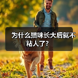 为什么猫咪长大后就不粘人了? 为什么猫咪长大后就不粘人了?(图3)
