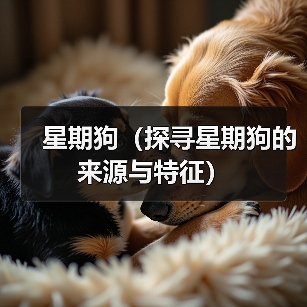 星期狗（探寻星期狗的来源与特征） - 新生家伴