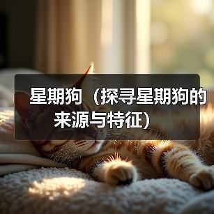 星期狗(探寻星期狗的来源与特征)(图4) 星期狗(探寻星期狗的来源与特征)(图4)