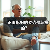正确抱狗的姿势是怎样的? 正确抱狗的姿势是怎样的?(图3)