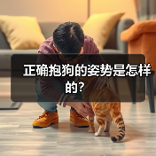 正确抱狗的姿势是怎样的? 正确抱狗的姿势是怎样的?(图4)