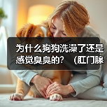 为什么狗狗洗澡了还是感觉臭臭的？（肛门腺问题可能是原因）(图3)