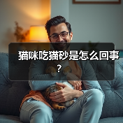 猫咪吃猫砂是怎么回事？ - 新生家伴