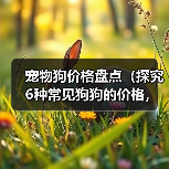 宠物狗价格盘点(探究6种常见狗狗的价格,让你明智选择)(图2) 宠物狗价格盘点(探究6种常见狗狗的价格,让你明智选择)(图2)