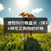 宠物狗价格盘点(探究6种常见狗狗的价格,让你明智选择)(图4) 宠物狗价格盘点(探究6种常见狗狗的价格,让你明智选择)(图4)