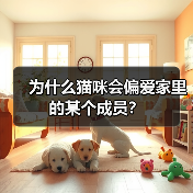 为什么猫咪会偏爱家里的某个成员？(图4)