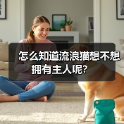 怎么知道流浪猫想不想拥有主人呢？(图2)