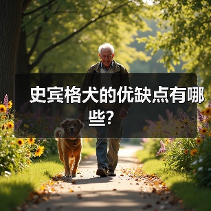 史宾格犬的优缺点有哪些？(图4)