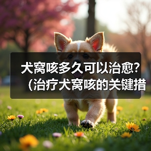 犬窝咳多久可以治愈？（治疗犬窝咳的关键措施与预防方法） - 新生家伴