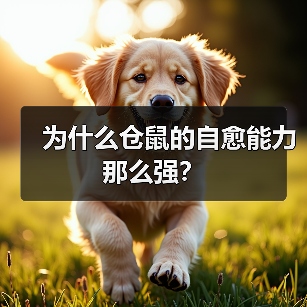 为什么仓鼠的自愈能力那么强？(图2)