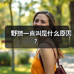 野猫一直叫是什么原因？(图2)