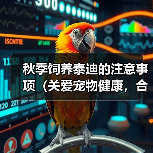 秋季饲养泰迪的注意事项（关爱宠物健康，合理照料泰迪的秋季饲养要点）(图4)