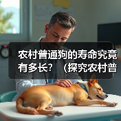 农村普通狗的寿命究竟有多长?(探究农村普通狗寿命的因素及延长方法)(图1) 农村普通狗的寿命究竟有多长?(探究农村普通狗寿命的因素及延长方法)(图1)