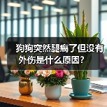狗狗突然腿瘸了但没有外伤是什么原因？(图2)