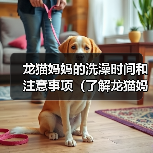 龙猫妈妈的洗澡时间和注意事项（了解龙猫妈妈洗澡的频率和正确的方法）(图1)