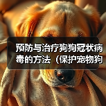 预防与治疗狗狗冠状病毒的方法（保护宠物狗免受冠状病毒感染的有效措施）(图2)