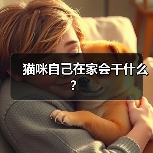 猫咪自己在家会干什么?(图2) 猫咪自己在家会干什么?(图2)