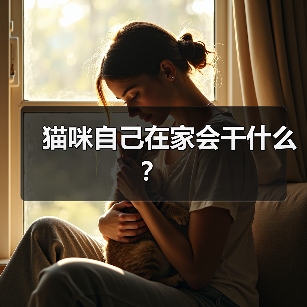 猫咪自己在家会干什么?(图3) 猫咪自己在家会干什么?(图3)