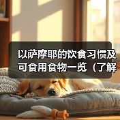 以萨摩耶的饮食习惯及可食用食物一览(了解萨摩耶的饮食需求与健康选择)(图1) 以萨摩耶的饮食习惯及可食用食物一览(了解萨摩耶的饮食需求与健康选择)(图1)
