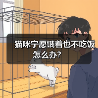 猫咪宁愿饿着也不吃饭怎么办？ - 新生家伴
