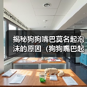 揭秘狗狗嘴巴莫名起泡沫的原因(狗狗嘴巴起泡沫的危害及预防方法)(图2) 揭秘狗狗嘴巴莫名起泡沫的原因(狗狗嘴巴起泡沫的危害及预防方法)(图2)