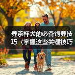 养茶杯犬的必备饲养技巧(掌握这些关键技巧,让你的茶杯犬健康快乐)(图1) 养茶杯犬的必备饲养技巧(掌握这些关键技巧,让你的茶杯犬健康快乐)(图1)
