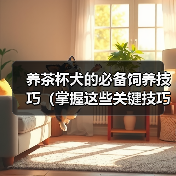 养茶杯犬的必备饲养技巧(掌握这些关键技巧,让你的茶杯犬健康快乐)(图3) 养茶杯犬的必备饲养技巧(掌握这些关键技巧,让你的茶杯犬健康快乐)(图3)
