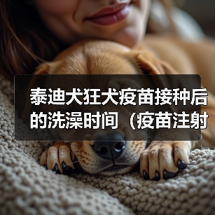 泰迪犬狂犬疫苗接种后的洗澡时间(疫苗注射后多久才能为你的泰迪犬洗澡?)(图3) 泰迪犬狂犬疫苗接种后的洗澡时间(疫苗注射后多久才能为你的泰迪犬洗澡?)(图3)