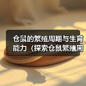 仓鼠的繁殖周期与生育能力(探索仓鼠繁殖周期,了解仓鼠生育能力)(图3) 仓鼠的繁殖周期与生育能力(探索仓鼠繁殖周期,了解仓鼠生育能力)(图3)
