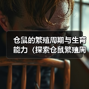 仓鼠的繁殖周期与生育能力(探索仓鼠繁殖周期,了解仓鼠生育能力)(图4) 仓鼠的繁殖周期与生育能力(探索仓鼠繁殖周期,了解仓鼠生育能力)(图4)
