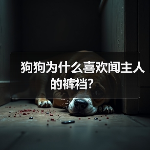 狗狗为什么喜欢闻主人的裤裆？(图2)