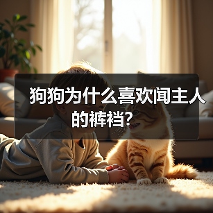 狗狗为什么喜欢闻主人的裤裆？ - 新生家伴