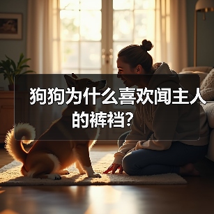 狗狗为什么喜欢闻主人的裤裆？(图3)