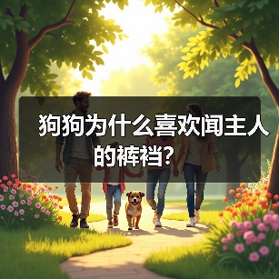 狗狗为什么喜欢闻主人的裤裆？(图4)